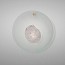Gioia Small Wall Lamp