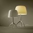 Lumiere Nuances Small Table Lamp