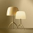 Lumiere Nuances Small Table Lamp
