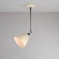 Task Ceiling Lamp