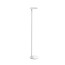 Oblique Floor Lamp