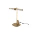 Optical Table Lamp