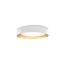 Ginevra 53 Ceiling Lamp