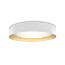 Ginevra 80 Wall Lamp