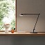 Opuntia Table Lamp