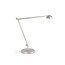 Opuntia Table Lamp