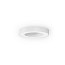Silver Ring Ø50cm Ceiling Lamp