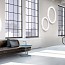 Silver Ring Ø50cm Ceiling Lamp