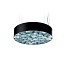 Spiro Medium Pendant - Matt Black