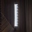 Frenesi Wall Lamp
