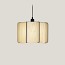 Kactos Suspension Lamp With Matte Black Canopy