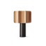 Kactos Table Lamp With Matte Black Base