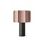 Kactos Table Lamp With Matte Black Base