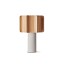 Kactos Table Lamp With Matte White Base