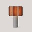 Kactos Table Lamp With Matte White Base
