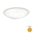 Ring L-125 Ceiling Lamp