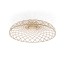 Skynest Ceiling Lamp