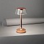 Bon Jour Unplugged table Lamp - Matt Chrome