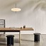 Model 2065 Suspension Lamp
