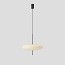 Model 2065 Suspension Lamp