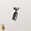 Madame Ceiling Lamp
