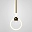 Ring Suspension Lamp