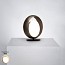 Ring Table Lamp