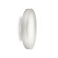 Côte 37cm Wall Lamp - Frosted Smoky Grey Glass