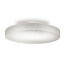 Côte 48cm Ceiling Lamp - Frosted Smoky Grey Glass