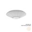 Siam 80 Ceiling Lamp