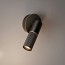 Beak Wall Lamp