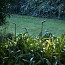 Birdie B-100 L Outdoor Bollard - Large Head
