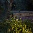 Birdie B-60 SC Outdoor Bollard - Small Head
