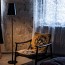 Birdie Led Lettura Floor Lamp