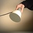 Belt 4147 Table Lamp