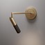 Beak Picture Flat Wall Lamp