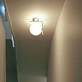 IC C/W1 Ceiling Lamp
