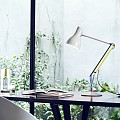 Type 75 Desk Lamp - Paul Smith - Edition One