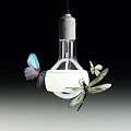 Johnny B. Butterfly Suspension Lamp 170cm