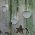 Va - Lentina Wall Lamp