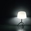 Lumiere Large Table Lamp
