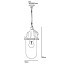 7674 Dockside Pendant With Clear Glass
