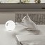 Maoo Table Lamp With Cat