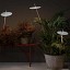Xana Small Outdoor Floor Lamp With Ground Fastening
