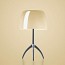 Lumiere Small Table Lamp