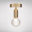 Crystal Bulb Ceiling Lamp - Frosted