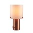 Walter Table Lamp - Size 1 With Opal Glass