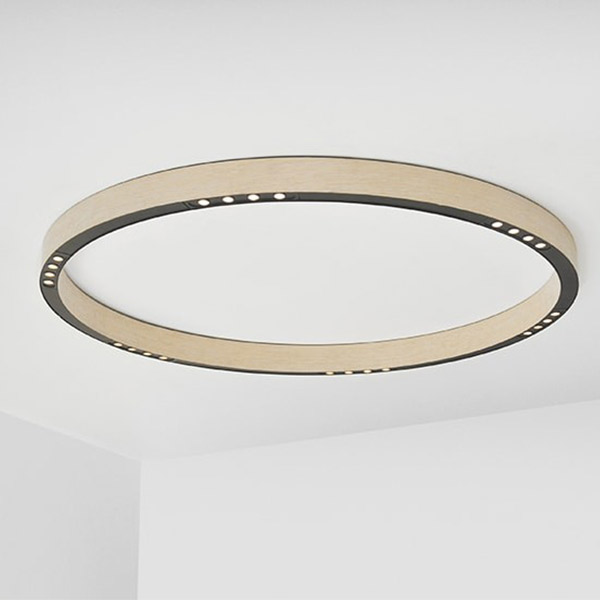 R2 C120 Ceiling Lamp