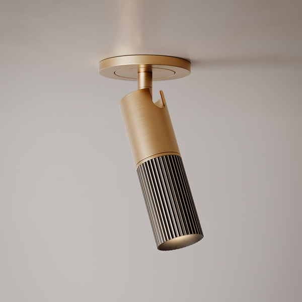 Beak Flat Ceiling Lamp