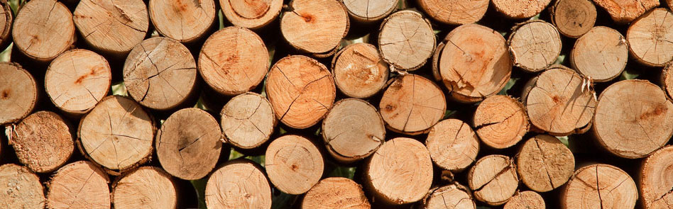 Wood Lighting Fixtures